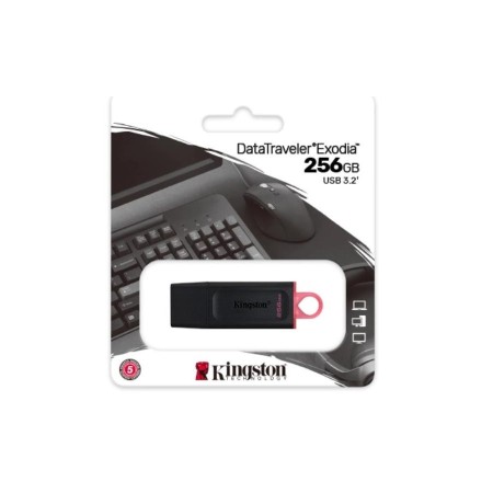 KINGSTON PENDRIVE DATATRAVELER EXODIA DTX/256GB USB FLASH 256GB USB 3.2 GEN 1  NERO